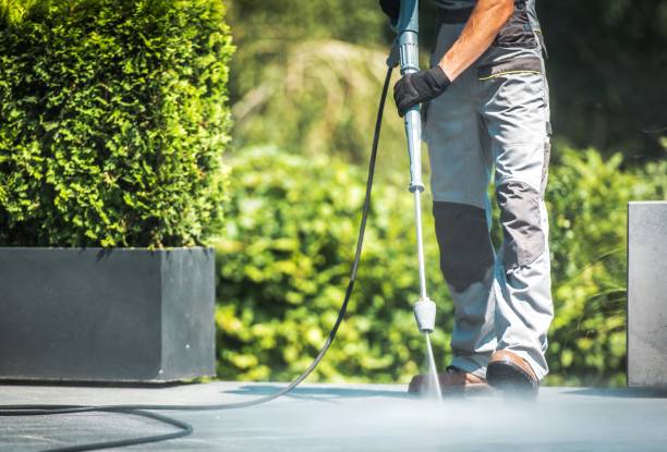 Best Roof Cleaning and Mildew Removal in Sparkill, NY