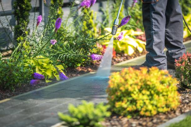 Best Pool Deck Cleaning in Sparkill, NY